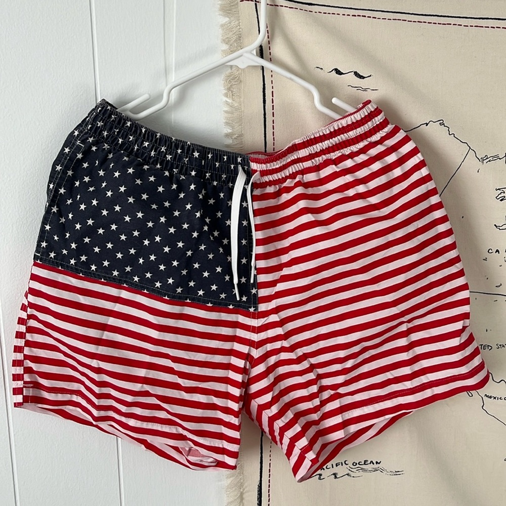 Chubbies American Flag Swimsuit